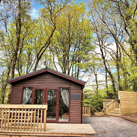 Woodland View -Hot Tub-Tenby-Carmarthen-세인트 클리어스 외부 사진