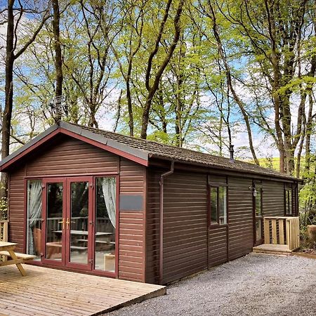 Woodland View -Hot Tub-Tenby-Carmarthen-세인트 클리어스 외부 사진