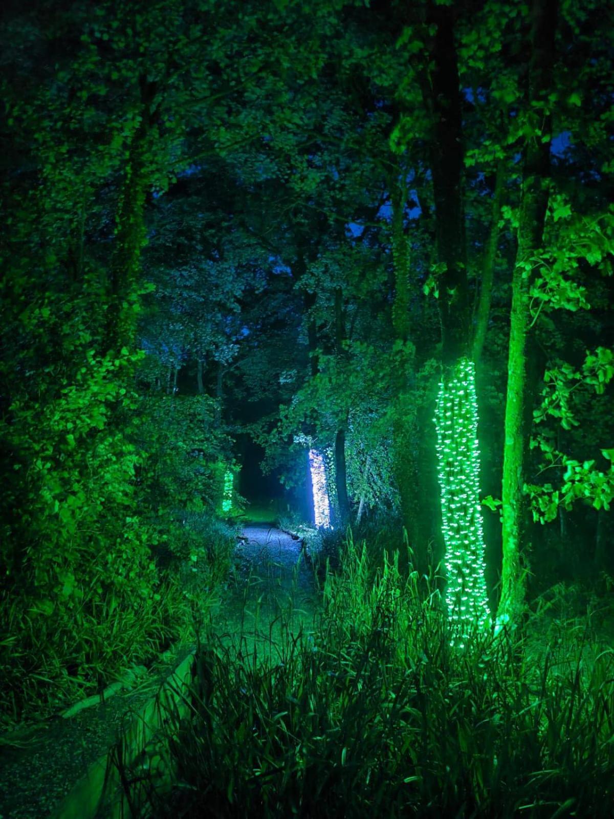 Woodland View -Hot Tub-Tenby-Carmarthen-세인트 클리어스 외부 사진