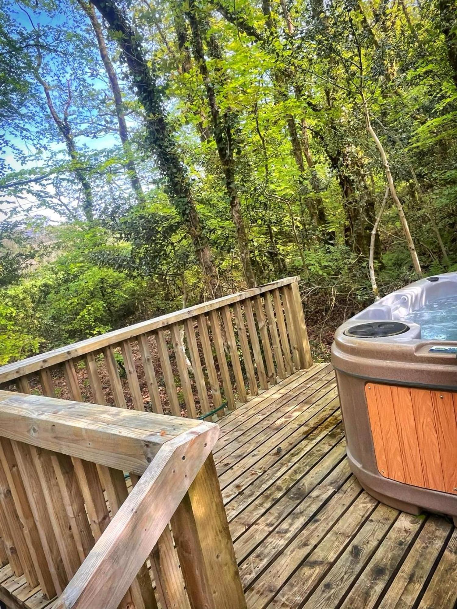 Woodland View -Hot Tub-Tenby-Carmarthen-세인트 클리어스 외부 사진